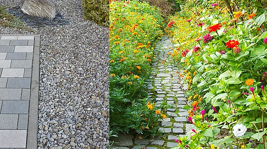 Grau oder doch lieber grün?